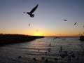 Juyan Lake Basin sunrise Royalty Free Stock Photo